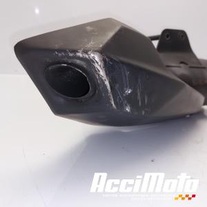 Silencieux (origine) CF MOTO MT 650