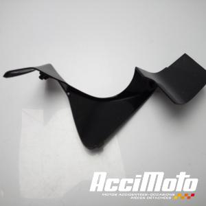 Intérieur de tête de fourche (droit) HONDA CBR125