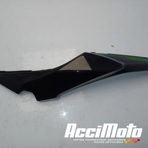 Coque arrière (gauche) KAWASAKI Z 650