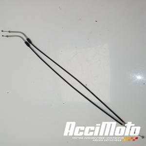 Cable de valve d'échappement MV AGUSTA F3 RR 800