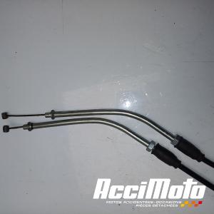 Cable de valve d'échappement MV AGUSTA F3 RR 800