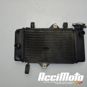 Radiateur de refroidissement YAMAHA MT 125