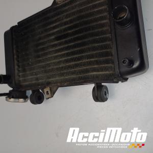 Radiateur de refroidissement YAMAHA MT 125