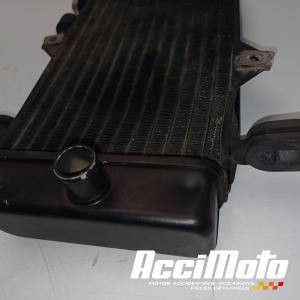 Radiateur de refroidissement YAMAHA MT 125