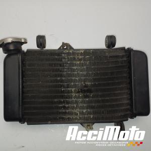 Radiateur de refroidissement YAMAHA MT 125