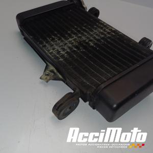 Radiateur de refroidissement YAMAHA MT 125