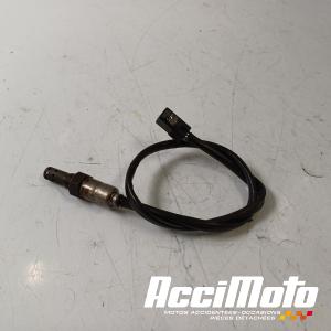 Sonde lambda TRIUMPH STREET TRIPLE 675 R