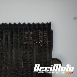 Radiateur d'huile SUZUKI BANDIT GSF1200S