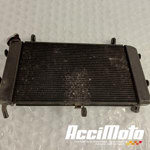 Radiateur de refroidissement SUZUKI GSR 750