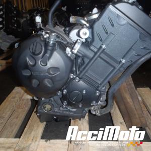 Moteur YAMAHA FZ8 S