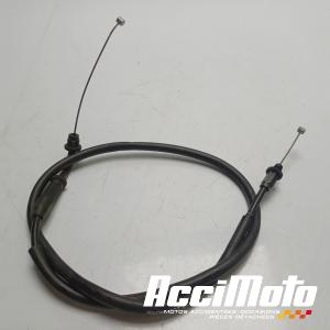 Cable d'accélérateur BMW F800 R