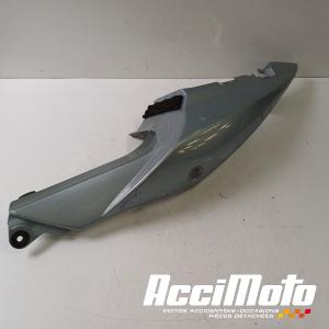 Coque arrière (gauche) SUZUKI SV 1000S