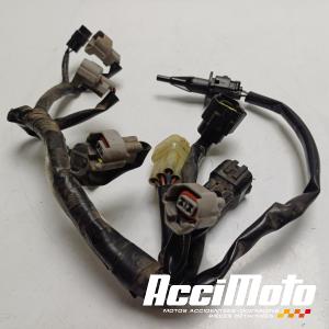 Faisceau de rampe d'injection YAMAHA R6 YZF600