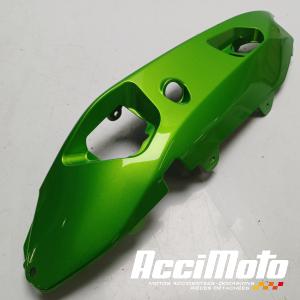 Coque arrière (gauche) KAWASAKI ER6 F