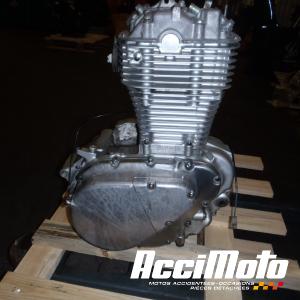 Moteur SUZUKI SAVAGE LS650