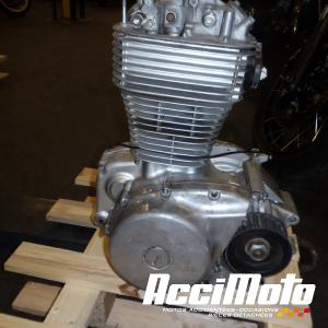 Moteur SUZUKI SAVAGE LS650