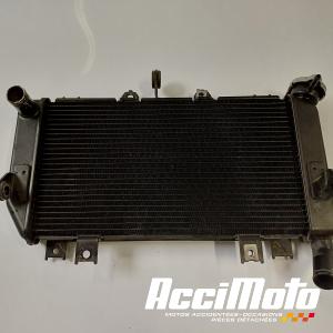 Radiateur de refroidissement KAWASAKI Z 400