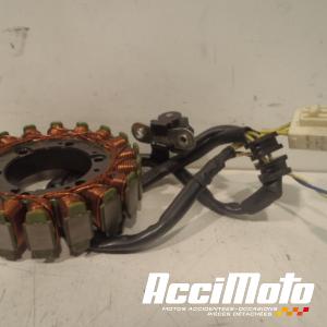 Stator d'alternateur APRILIA DORSODURO 750