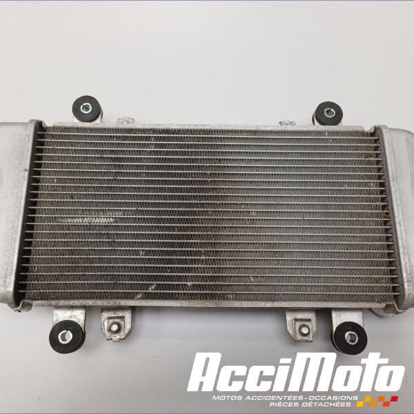 Pièce Moto Radiateur de refroidissement KAWASAKI NINJA EX300