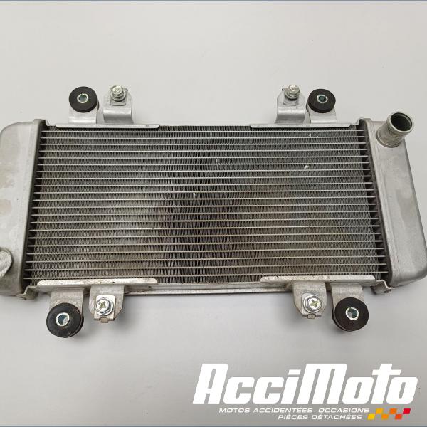 Part Motor bike Radiateur de refroidissement KAWASAKI NINJA EX300