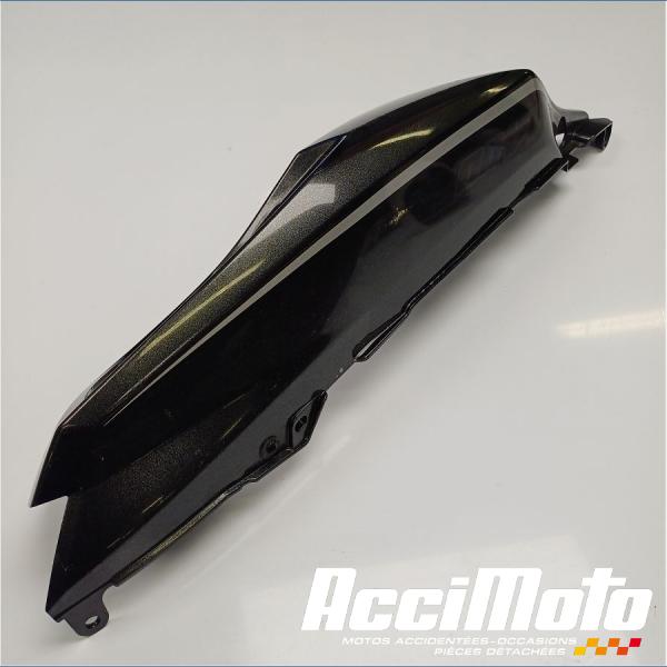 Part Motor bike Coque arrière (gauche) KAWASAKI ZZR ZX1400