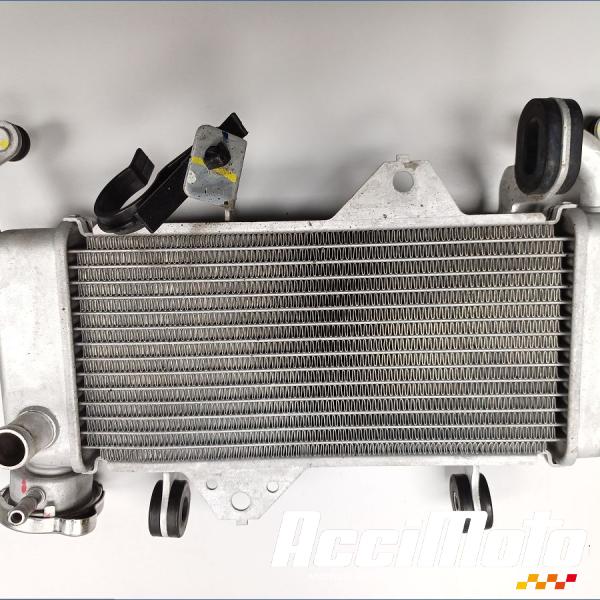 Pièce Moto Radiateur de refroidissement YAMAHA MT 125