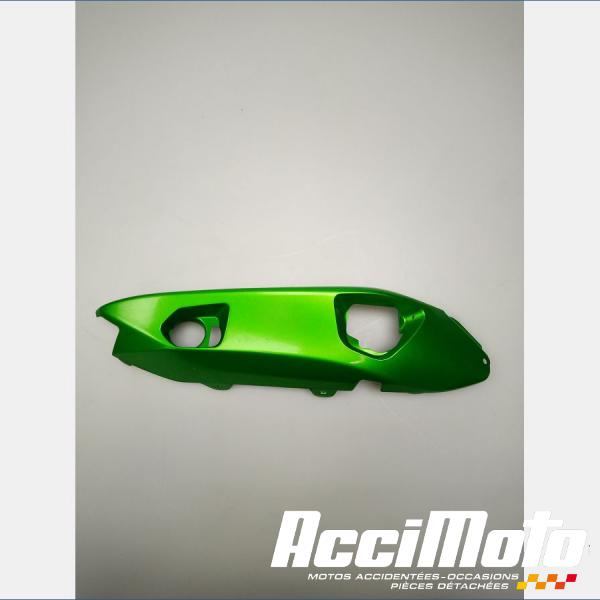 Part Motor bike Coque arrière (droite) KAWASAKI ER6 N