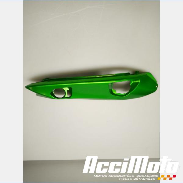 Part Motor bike Coque arrière (droite) KAWASAKI ER6 N