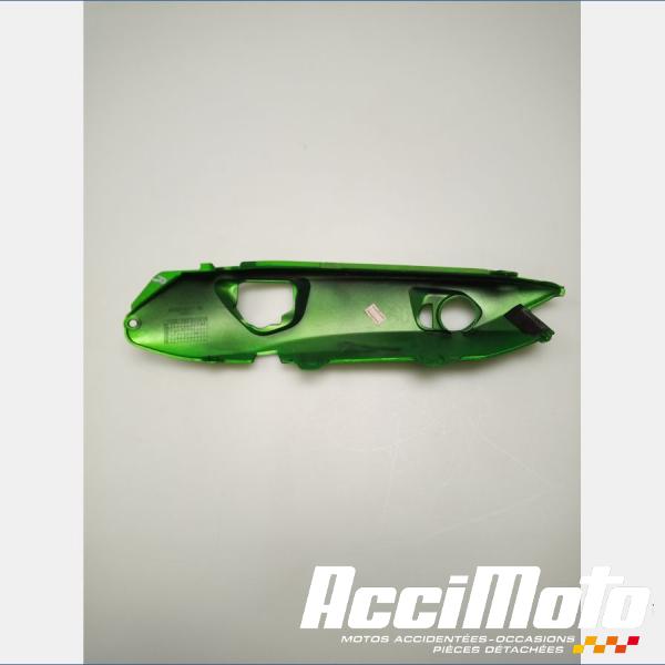 Part Motor bike Coque arrière (droite) KAWASAKI ER6 N