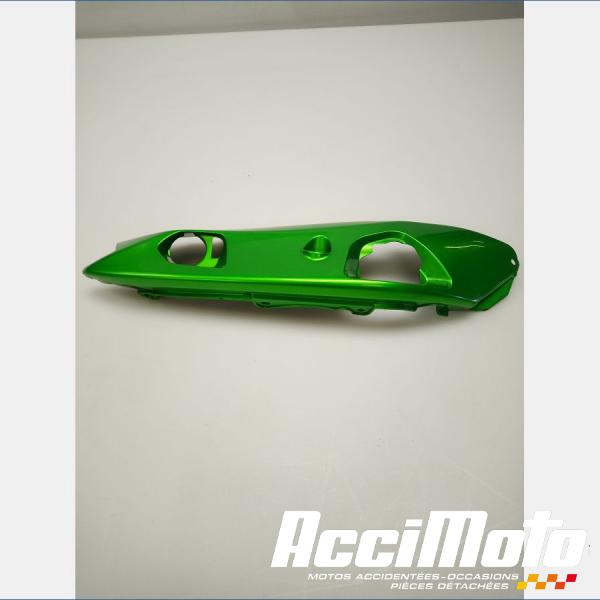 Pièce Moto Coque arrière (gauche) KAWASAKI ER6 N