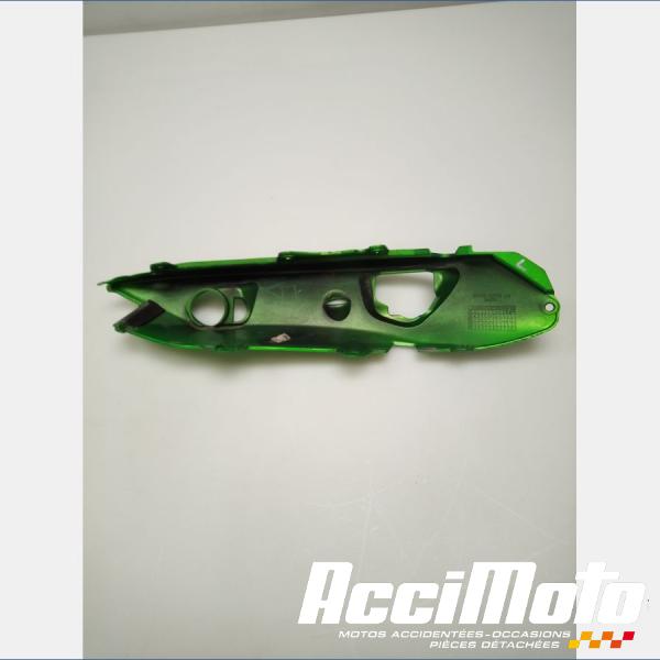 Part Motor bike Coque arrière (gauche) KAWASAKI ER6 N