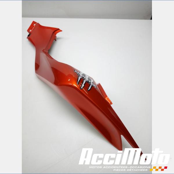 Part Motor bike Coque arrière (gauche) KAWASAKI Z 1000