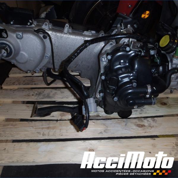 Pièce Moto Moteur PIAGGIO BEVERLY 300