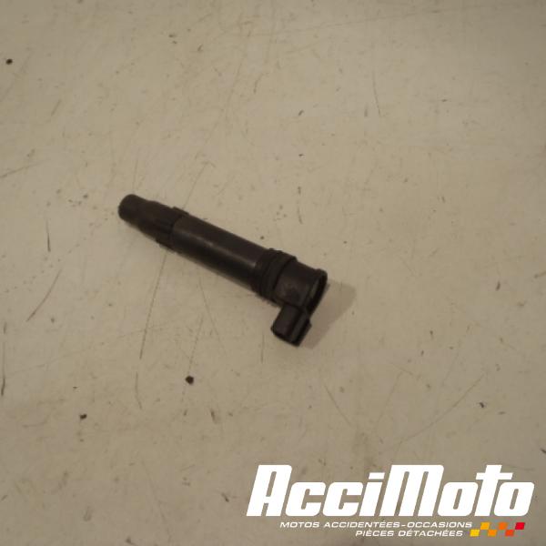 Part Motor bike Bobine crayon HONDA CBR600RR