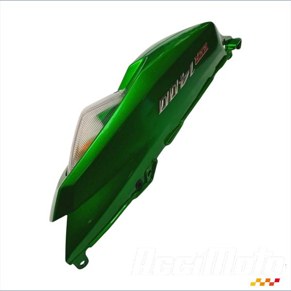 Part Motor bike Coque arrière (gauche) KAWASAKI ZZR ZX1400