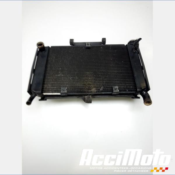 Pièce Moto Radiateur de refroidissement YAMAHA FZ6 N