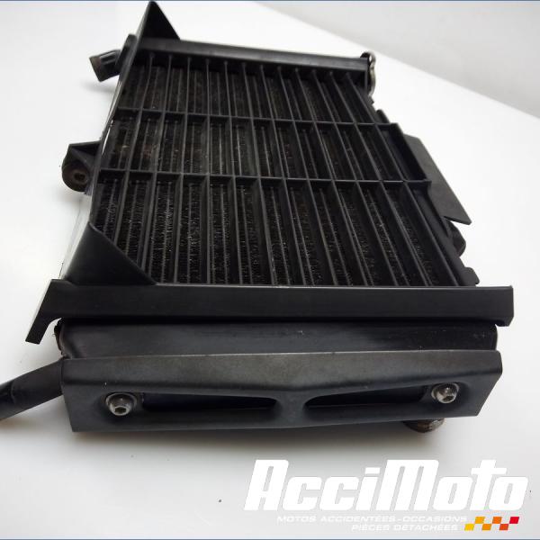 Pièce Moto Radiateur de refroidissement YAMAHA FZ6 N