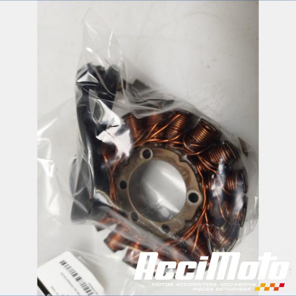 Pièce Moto Stator d'alternateur TRIUMPH SPEED TRIPLE 1050 
