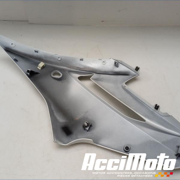 Part Motor bike Flanc de carénage avant (droit) YAMAHA XJ6F DIVERSION