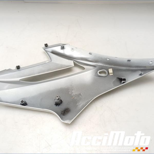 Part Motor bike Flanc de carénage avant (gauche) YAMAHA XJ6F DIVERSION