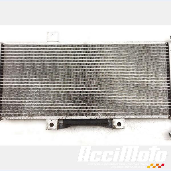 Part Motor bike Radiateur de refroidissement KAWASAKI ER6 N