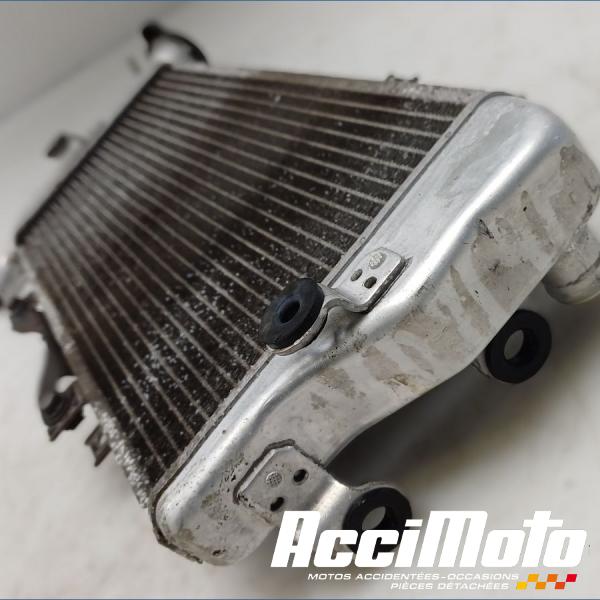Part Motor bike Radiateur de refroidissement KAWASAKI ER6 N