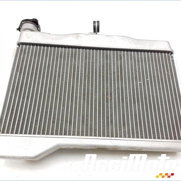 Pièce Moto Radiateur de refroidissement YAMAHA XTZ TENERE 700