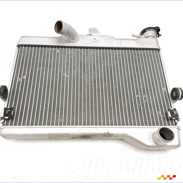 Pièce Moto Radiateur de refroidissement YAMAHA XTZ TENERE 700