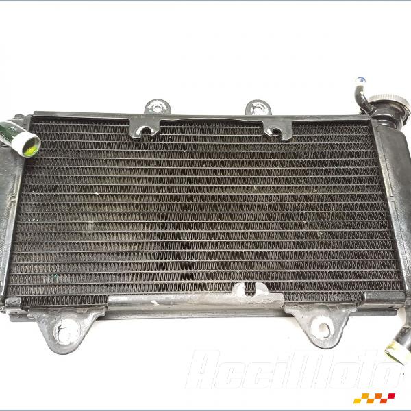 Part Motor bike Radiateur de refroidissement KTM 390 RC