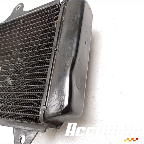 Part Motor bike Radiateur de refroidissement KTM 390 RC