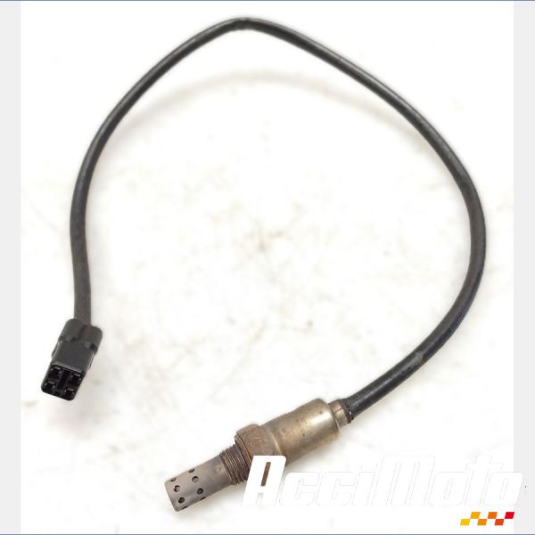 Pièce Moto Sonde lambda TRIUMPH DAYTONA 675