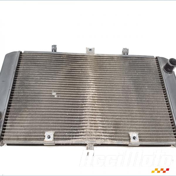 Part Motor bike Radiateur de refroidissement KAWASAKI Z 800E