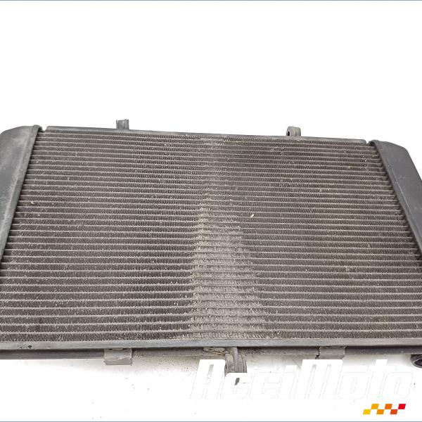 Part Motor bike Radiateur de refroidissement KAWASAKI Z 800E