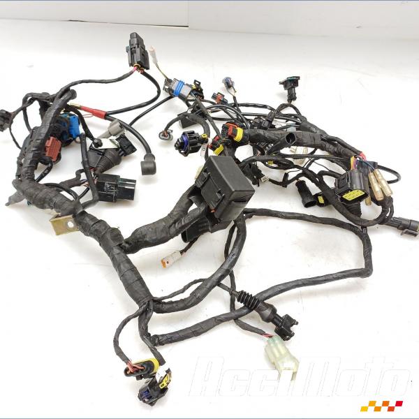 Pièce Moto Faisceau électrique (principal) DUCATI SUPERBIKE 848 EVO CORSE